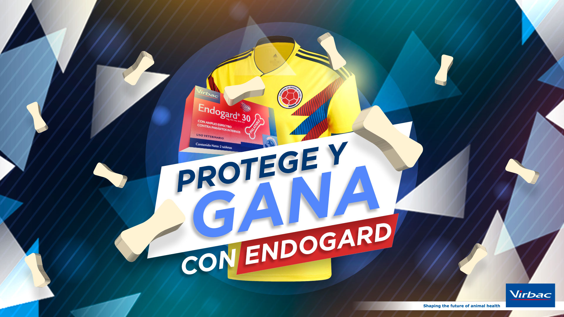 concurso-endogard-kv01.jpg